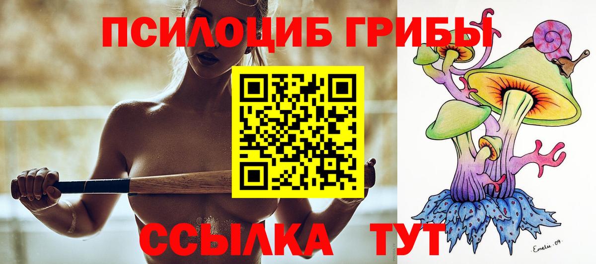 цена   Вход с VPN  Галлюциногенные грибы Psilocybe  Черняховск  Псилоцибиновые грибы Magic Shrooms 